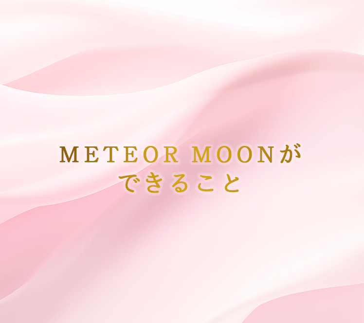 METEOR MOONができること